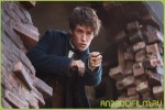 Фильм Фантастические твари и где они обитают (2016) в хорошем качестве