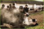 Фильм Монах и бес (2016) в хорошем качестве